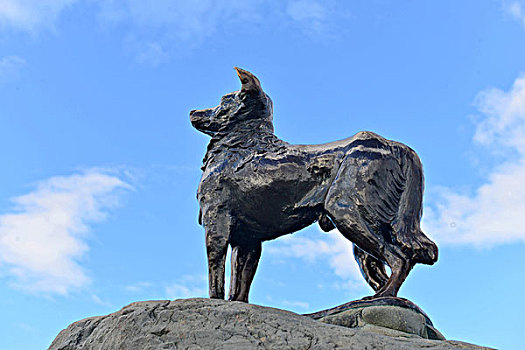 牧羊犬雕塑