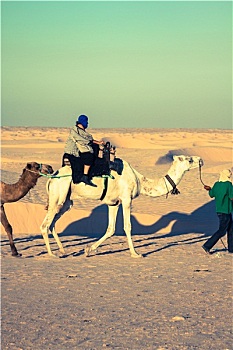 贝都因人,旅游,骆驼,短小,游客,开端,门,撒哈拉沙漠