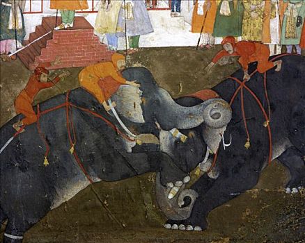 看,大象,争斗,莫卧尔王朝,17世纪