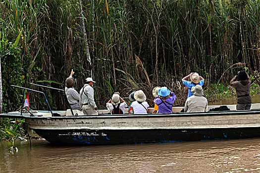 旅游,看,环境,问题,亚马逊河