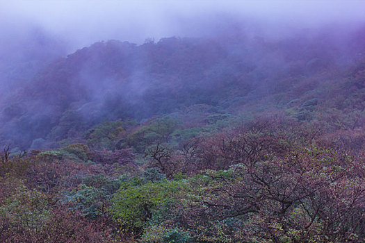 梵净山