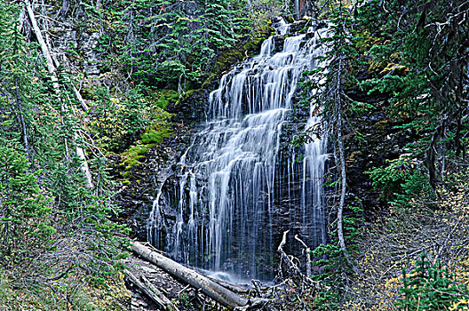 论坛,瀑布,省立公园,不列颠哥伦比亚省,加拿大