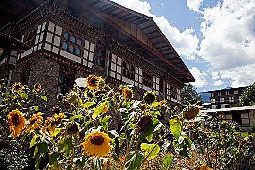 亚洲,不丹,廷布,向日葵,建筑