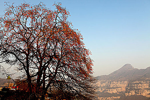 太行山大峡谷