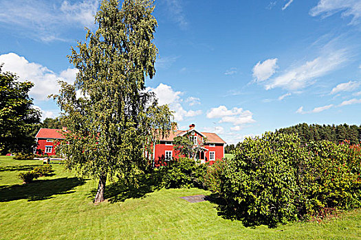 老,红房子,瑞典
