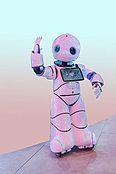 2024重庆汽车展展示的机器人