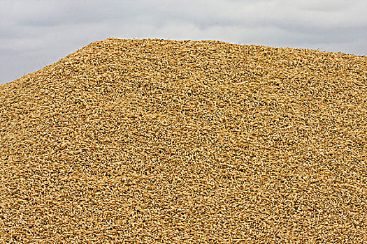 大麦,堆,收获,弄干,西班牙,欧洲
