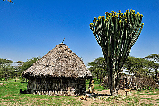 传统,非洲,小屋,草屋,裂谷,埃塞俄比亚