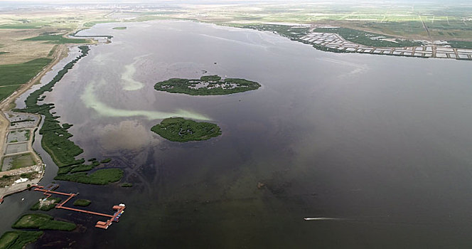 黄河河迹湖,乌梁素海,10～20年内或将消失