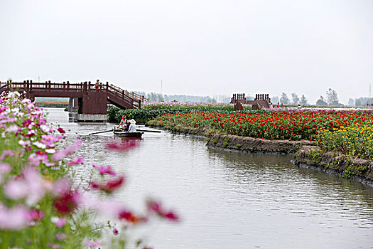 美丽中国,千垛秋景引客来