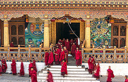 不丹,蜂窝,庙宇,特写,普那卡宗