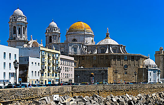 大教堂,卡迪兹,安达卢西亚,西班牙,欧洲