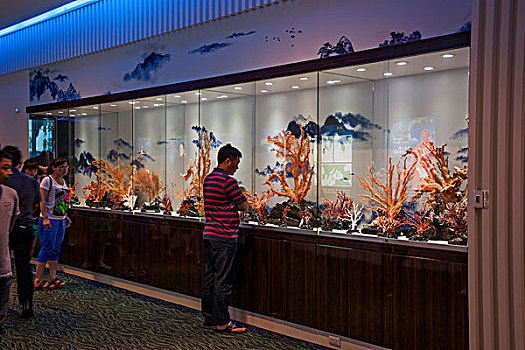 台湾台东市珊瑚展示中心