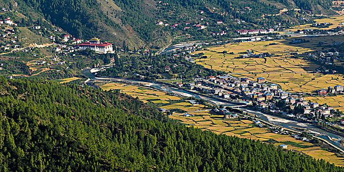 河,建筑,不丹,山谷,风景,宗派寺院
