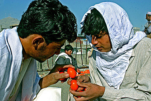 阿富汗,成年,玩,蛋,争斗,喀布尔,集市,十月,2007年