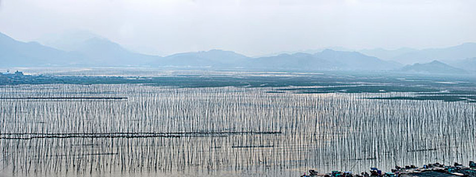 福建宁德市霞浦县沙江村海域养殖场