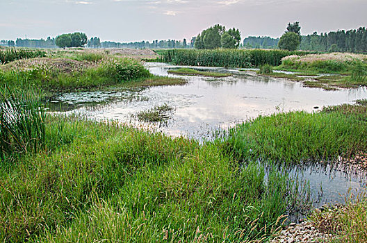 河流生态湿地
