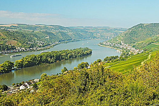莱茵河,靠近,黑森州,德国
