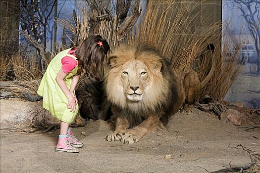 女孩,看,狮子,博物馆