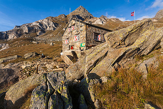 山区木屋,风景,花园,靠近,瓦莱州,瑞士,欧洲