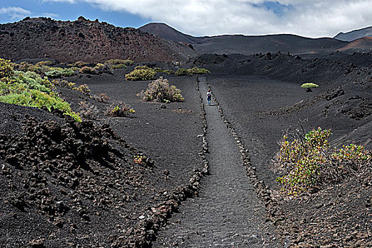 火山地貌,特色,植被,火山,后面,靠近,帕尔玛,加纳利群岛,西班牙,欧洲