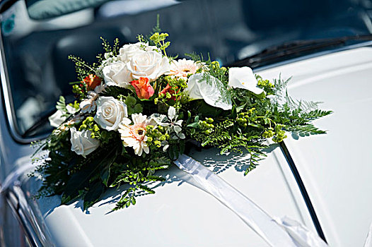 新娘,花环,汽车