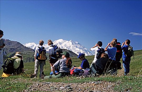 远足者,小路,休憩,风景,麦金立山,德纳里峰国家公园,室内,阿拉斯加,夏天