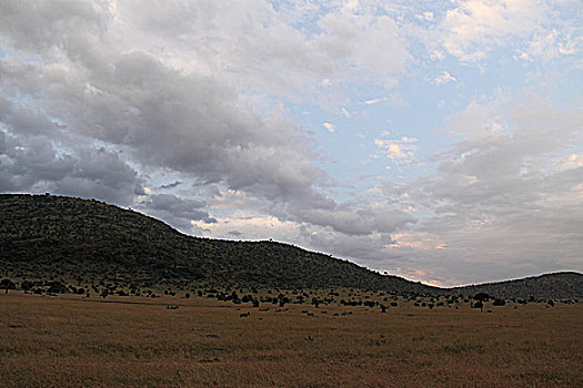 肯尼亚马赛马拉非洲大草原云层变幻