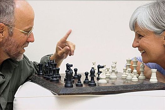 伴侣,玩,下棋