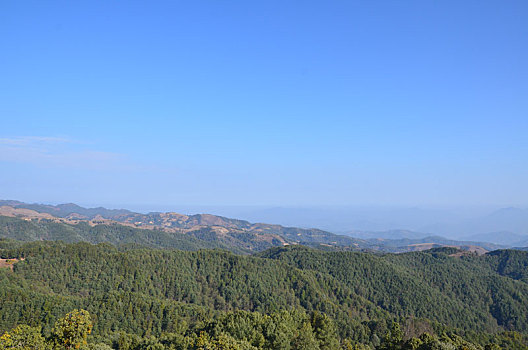 龙陵亮山林场