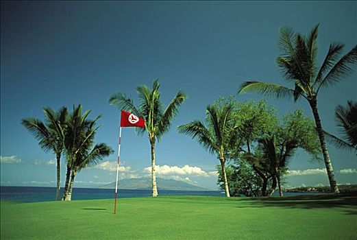 夏威夷,毛伊岛,室外,草地,麦肯那高尔夫俱乐部