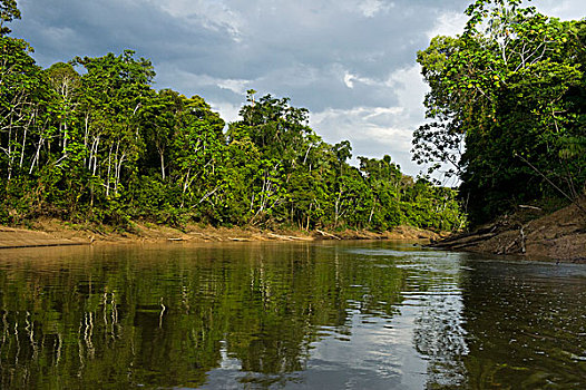 河,国家公园,亚马逊河,厄瓜多尔