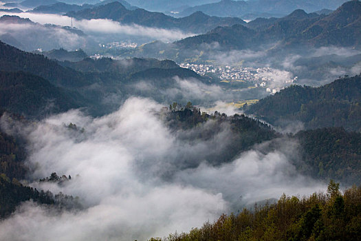 石潭,云海,安徽,山沟,油菜花,风光,壮观,气候,环境,仙境,诱惑,秀美,俯瞰,村庄