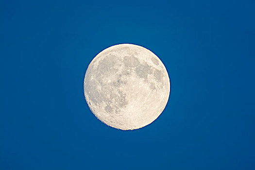 满月,天空,黄昏,奥登瓦尔德,黑森州,德国