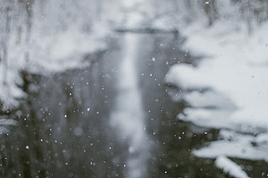 散焦,图像,自然,落下,雪,河
