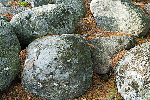 石头,遮盖,苔藓