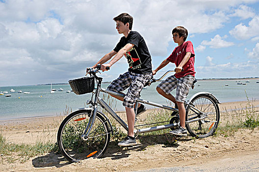 兄弟,骑,双人自行车,海滩,雷岛,法国