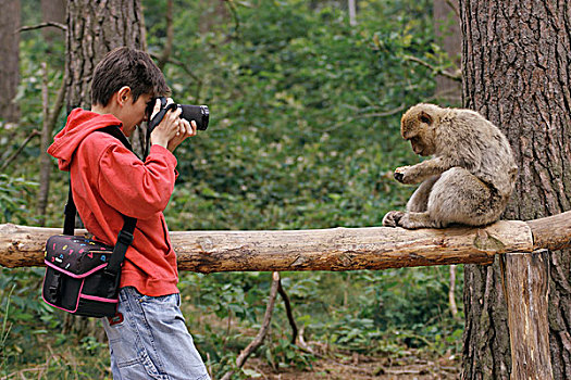 拍照,猿