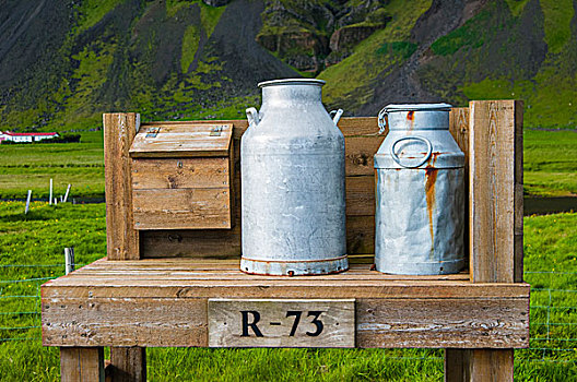 冰岛,南,靠近,牛奶,桶,等待,皮卡,环路