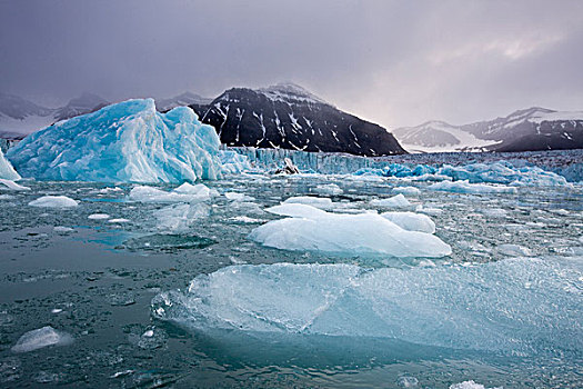 挪威,斯瓦尔巴特群岛,斯匹次卑尔根岛,岛屿,蓝色,冰山,漂浮,靠近,脸,冰河,夏天,晚间
