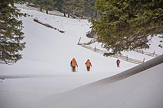 雪地徒步人群