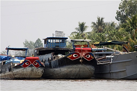 湄公河三角洲,越南