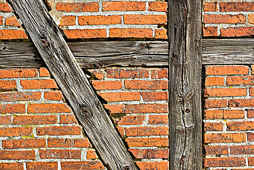 砖墙,半木结构,梅克伦堡前波莫瑞州,德国,欧洲