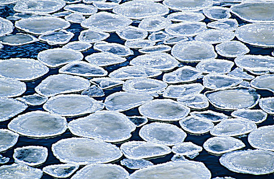 冰,早,冬天,怀特雪尔省立公园,曼尼托巴,加拿大