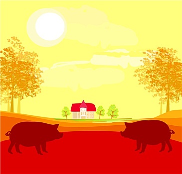 牧群,猪,自然,背景