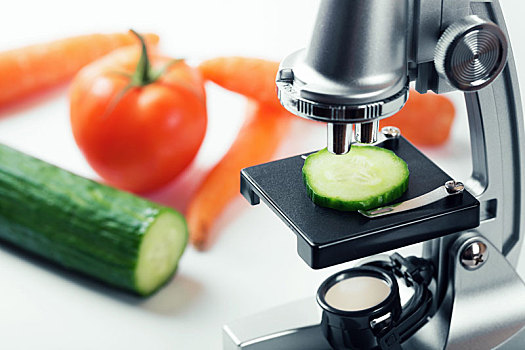 食物,质量控制,概念,黄瓜,察看,显微镜