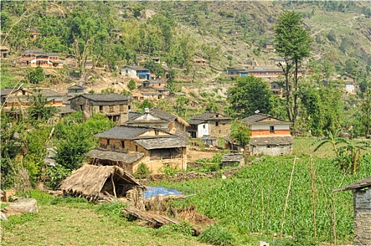 尼泊尔,乡村