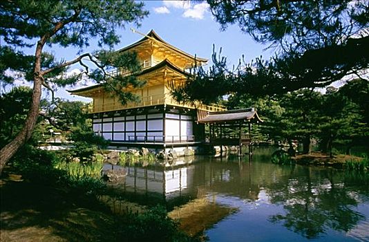 反射,庙宇,水中,金亭,京都,日本