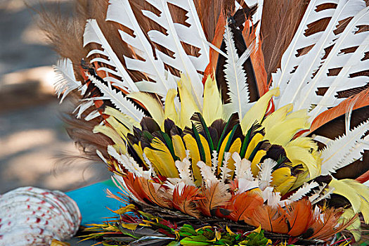 美拉尼西亚,巴布亚新几内亚,乡村,华丽,热带鸟,羽毛,头饰,特写,仪式,大幅,尺寸