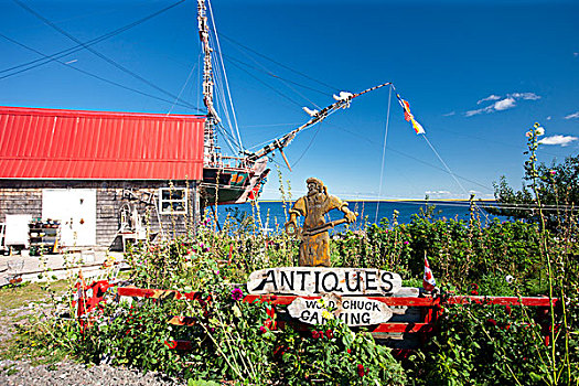 古玩店,北美土拨鼠,雕刻,海岸,新布兰斯维克,加拿大